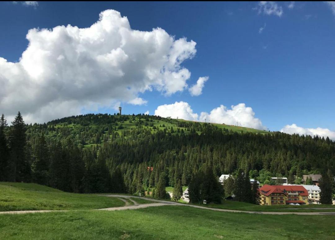 Ferienwohnung Feldberg Mit Whirlpool Direkt An Der Skipiste Extérieur photo